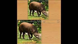 Funny Brazilian Tapir Animal Puzzles for Kids Game shorts