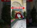 Bellagio Conservatory Garden outdid themselves W/ Bruno Mars #vegas #casino  #attractions #lasvegas