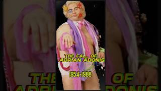 From Wrestlemania To Tragedy The Fall Of Adrian Adonis