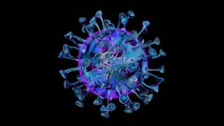 “I Built a Coronavirus Information Website Using HTML CSS JavaScript | Web Dev Project”