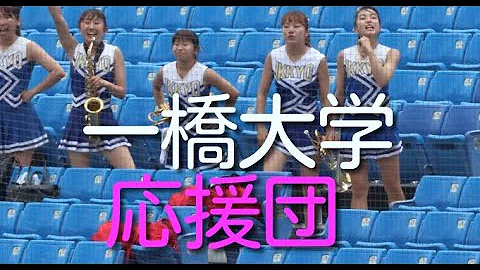 تحميل 一橋大学 チア تحميل 一橋大学 チア
