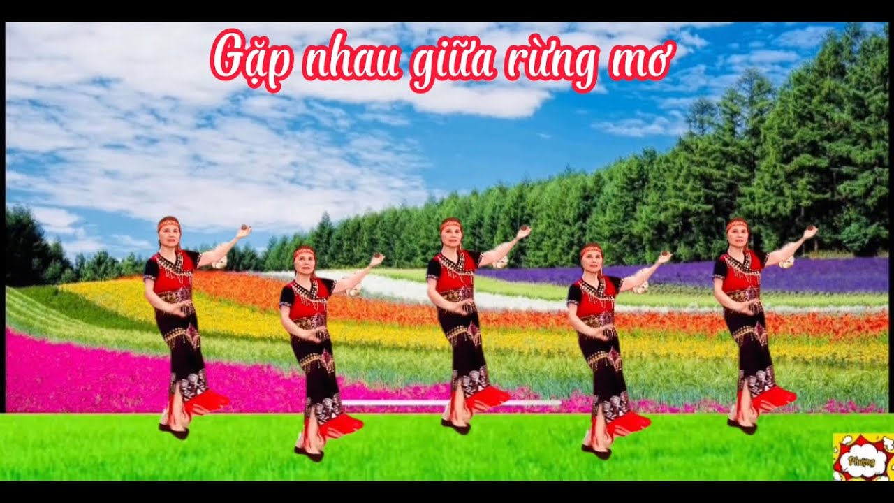 Vũ điệu gặp nhau giữa rừng mơ/ Nhạc hòa tấu không lời