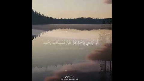 سورة الزمر (عبدالوهاب طاهر)♥️.