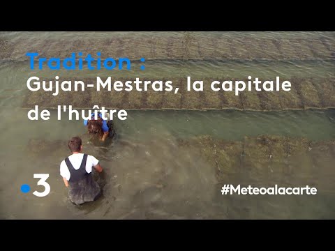 Gujan-Mestras, la capitale de l'huître