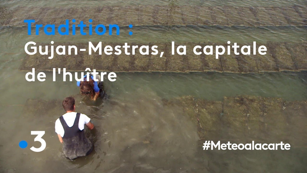Gujan-Mestras, la capitale de l'huître