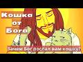 A Cat From God Why Did God Send You A Cat A Cat From God Why Did God Send You A Cat