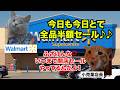 【ウォルマート】アメリカ中の嫌われ者！？全ての小売業を消し去り、撤退する破壊神 #猫マニ #猫ミーム