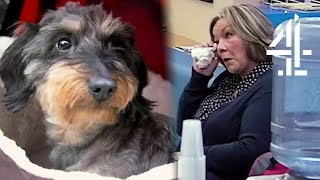 Emotional Moment When School Teacher is Reunited with Dog | The Supervet