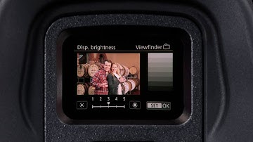 EOS R Quick Tips: Electronic Viewfinder—The Basics