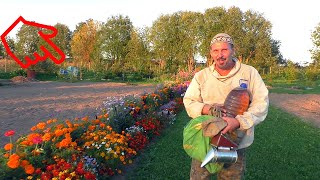 Прибавление в хозяйстве - соседи поделились! Прибавление в хозяйстве - соседи поделились!