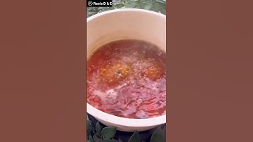 ☕️ Honey Ginger Tea (Homemade remedy for Cold, Cough & Flu) #shorts #shortsvideo #gingertea #viral