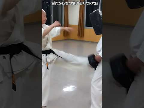 金的から右の掌底を打つK六段 #無門会