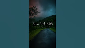 تلاوة خاشعة /  القرآن الكريم. #القرآن_الكريم #اكسبلور #youtube #المصحف