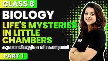 CLASS 8 BASIC SCIENCE | Chapter 1 Part 1 | Life