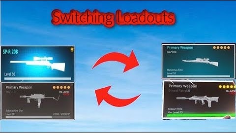 I Swapped My Loadout With My Duo (Warzone)