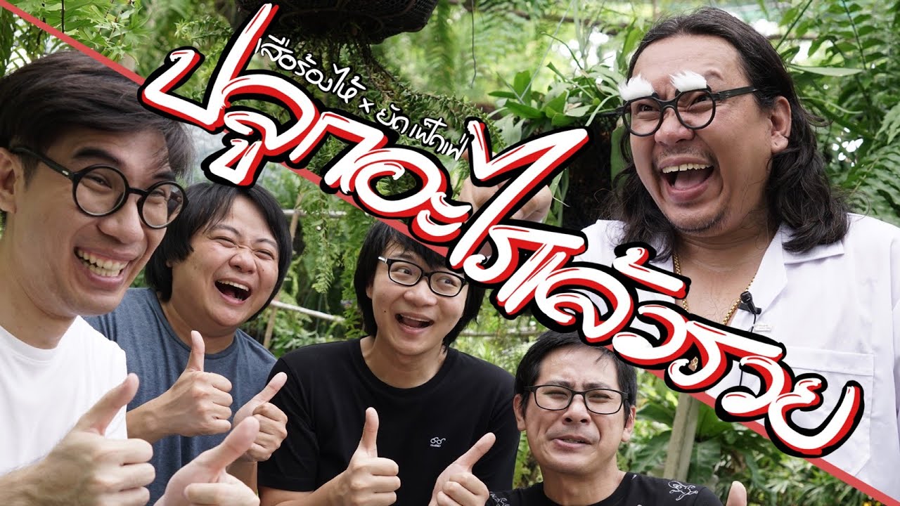 เสือร้องไห้ x ยัดเฟ็ดเฟ่  "ปลูกอะไรแล้วรวย"