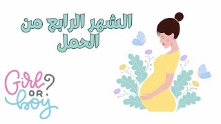 الحمل في الشهر الرابع: جنس الجنين و حركة الجنين الأولى