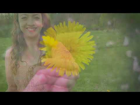 "The Dandelion" Movie Trailer