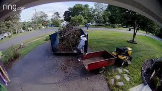 Branch Cleanup Timelapse