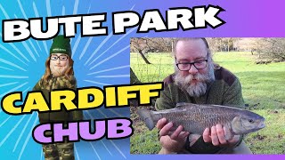 Bute Park Cardiff: Hunting for Chub