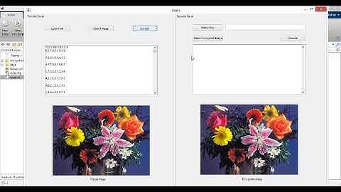 IMAGE STEGANOGRAPHY USING LSB ALGORITHM
