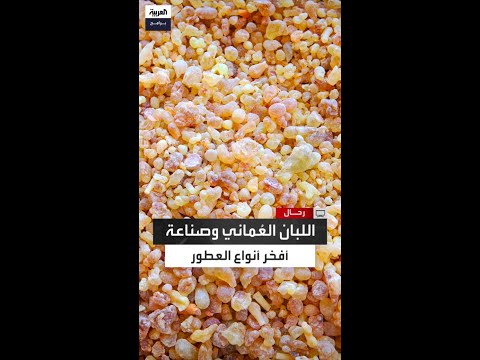 رح ال في زيارة لإحدى وحدات تصنيع العطور من اللبان الع ماني