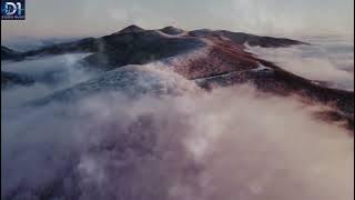 Ira Swara Beniqno - Bunga Dan Kumbang (Cover_D1)