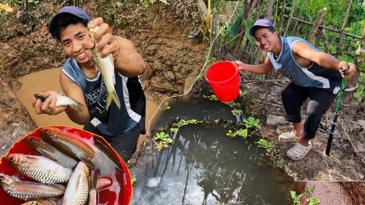 Revealing My Mini Fish Pond After 2 Years ( part:2)