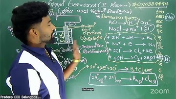 Science 11-(2025 o/l)