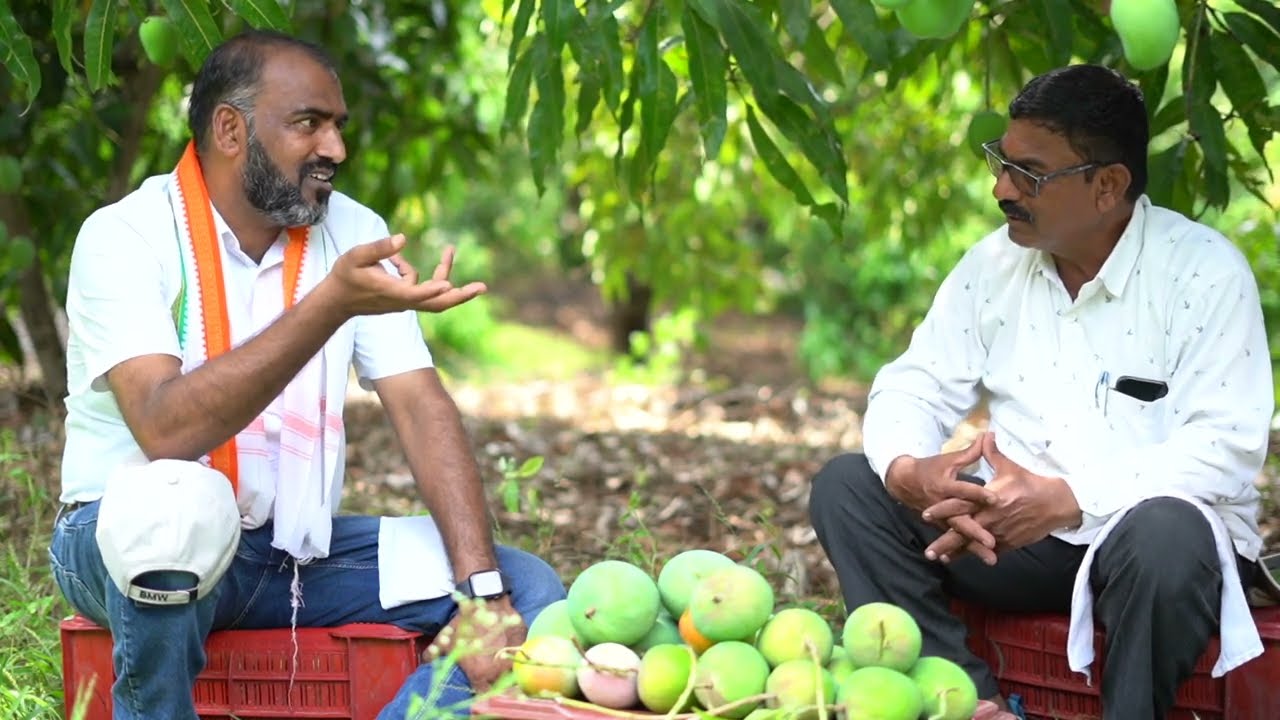 SCTवैदीक🥭भाग-1 सलग तीन वर्षांत फक्त 600 झाडांत ₹40+22+50 लाख कमावलेले पहिले करोडपतींची यशोगाथा‼️