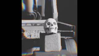 Sakvreye  D E S T R O Y E R