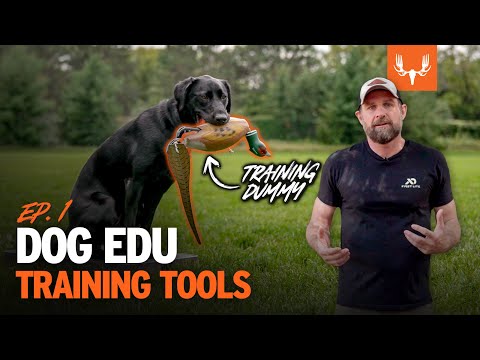 Dog Edu: Training Tools | MeatEater Clips