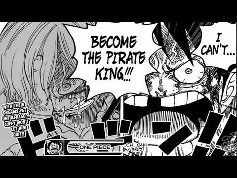 One Piece Manga Chapter 844 Review Luffy Vs Sanji A Tragic Outcome I M Not Going To Move One Piece Burning Blood Animo Amino