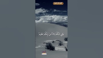 تلاوة هادئه من سورة البقرة تفيض جمالاً أرح بها بالك ومسمعك 🤍