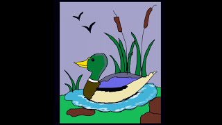 How to draw a colorful duck