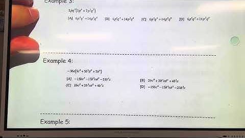 Algebra 1 - Level 16 (Part 2)