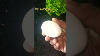 DIY : Egg White Face Mask |Egg white for loose skin, skin Tighten |Korean glass skin #glow #eggwhite