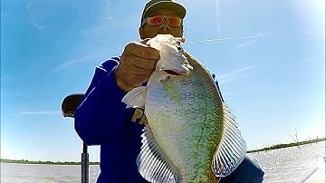 How to find BIG CRAPPIE during the spawn with LIVESCOPE