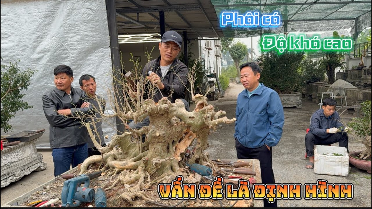 Xử Lý Phôi Bonsai Độ Khó Cao | Tư Duy Nghề Giúp Tránh Sai Lầm Lớn