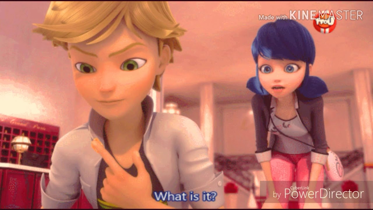 L'amore troverà la via 《AMV》 Miraculous ladybug