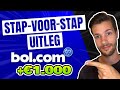 Binnen 30 dagen je eerste 1000 verdienen via bolcom