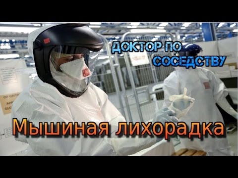 Мышиная лихорадка / HFRS