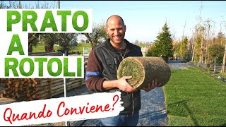 Prato a Rotoli: Quando Conviene?