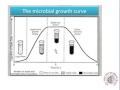 Bacterial Growth Curve and Calculations