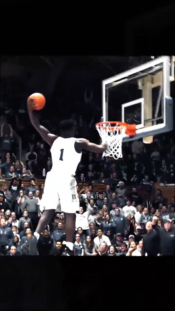 Healthy Zion is just DIFFERENT ?
