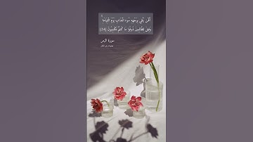 آية ٢٤ "أفمن يتقي بوجهه سوء العذاب" من سورة الزمر