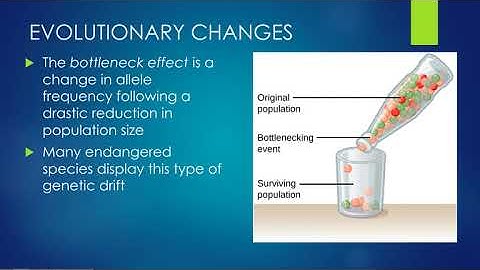 Evolution Notes Video Pages 6-7