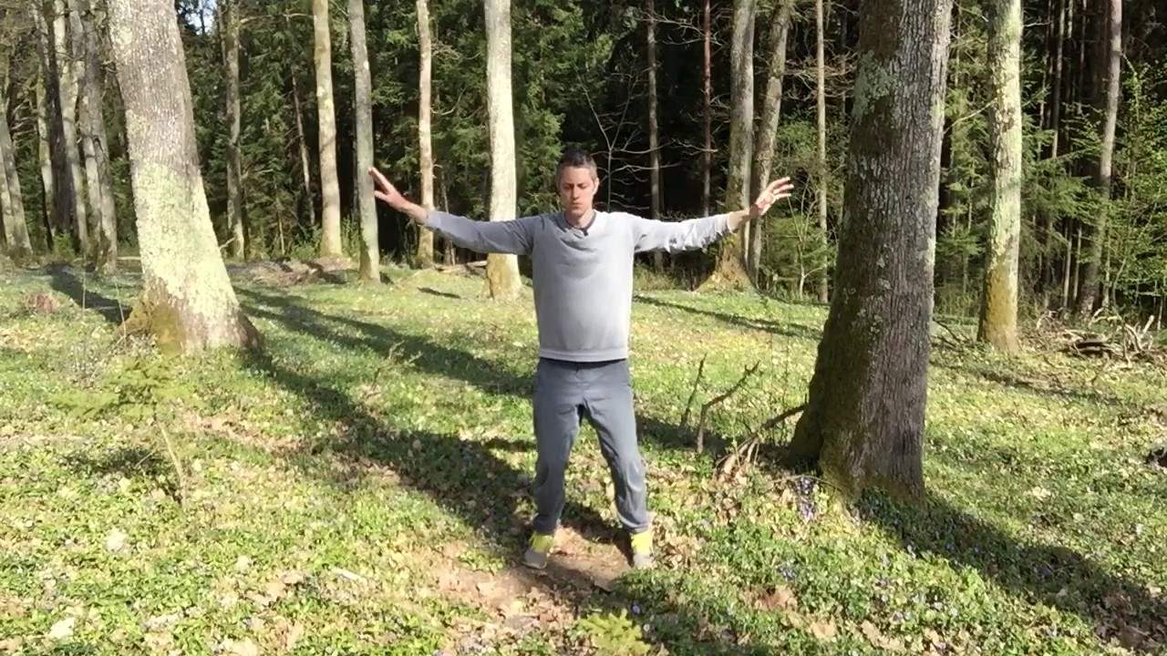 Qigong@Home Minikurs Sequenz - Die Energietore öffnen