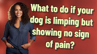 What to do if your dog is limping but showing no sign of pain?