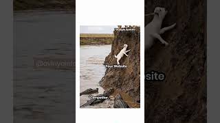 Google Update Warning ⚠️ Is Your Website at Risk? | Avinya SEO Solution